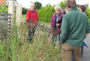 Gartenbesichtigung