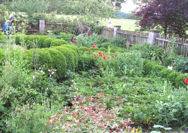 Frnkischer Bauerngarten