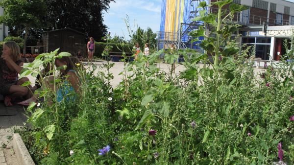 Aufwachsende Blumen