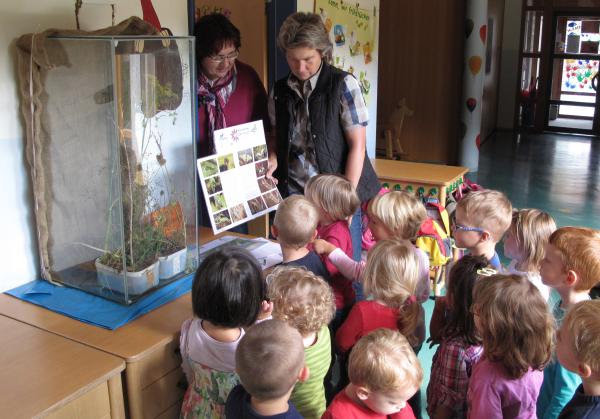 Kinder im Wichtelschiff Nemmersdorf vor dem Terrarium