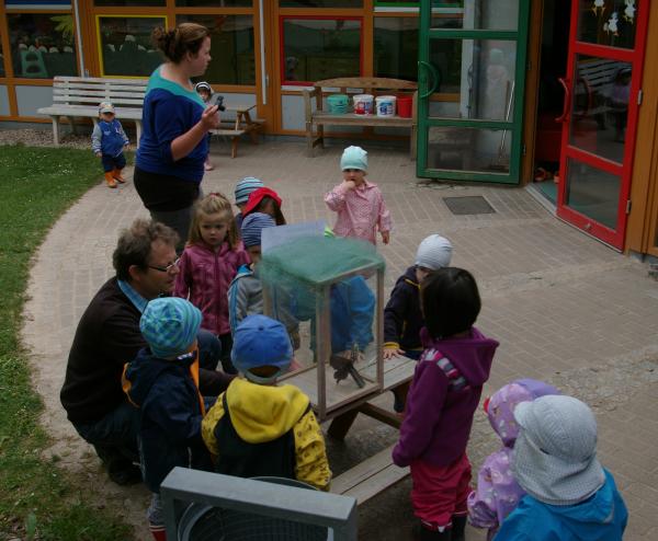 Vor dem Freilassen wird der Schmetterling von den Kindern bewundert