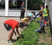 Kinder beim Bepflanzen der Schulrabatte